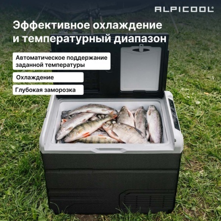 Компрессорный автохолодильник Alpicool TS60 (12/24)